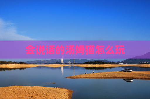 会说话的汤姆猫怎么玩