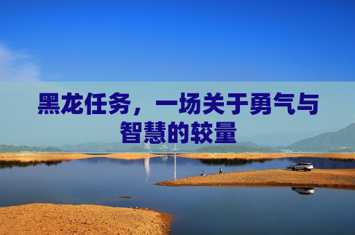 黑龙任务，一场关于勇气与智慧的较量