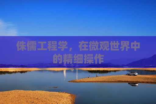 侏儒工程学,在微观世界中的精细操作 侏儒工程学,在微观世界中的精细操作