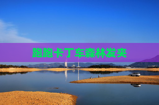 跑跑卡丁车森林发夹